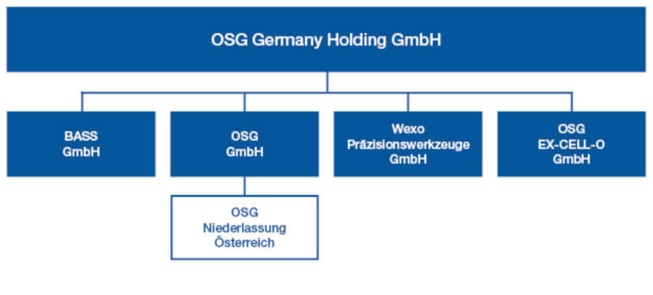 Die neue Holdingstruktur der deutschen OSG-Gruppe.